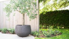 Atelier Vierkant pot